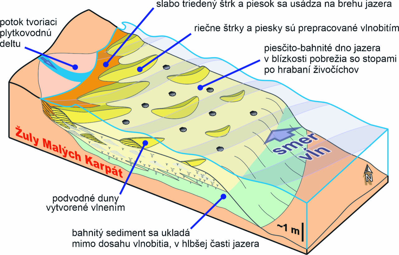 Geológovia z UK: Mlynská dolina bola pred 10 miliónmi rokov pod hladinou