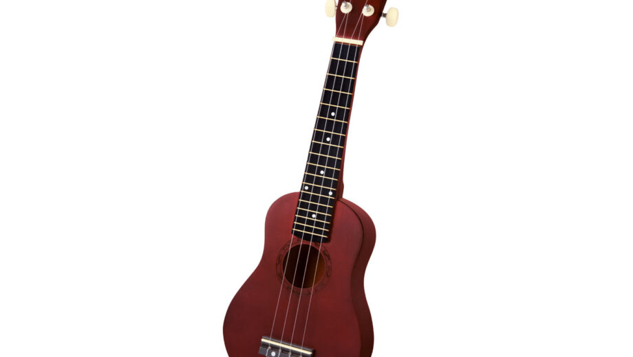 Hudobný nástroj flauta ukulele