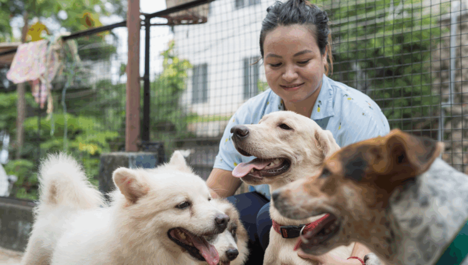 Mladí ľudia menia životy: Prečo si generácia Z a mileniáli adoptujú najviac šteniat a mačiat