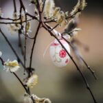 Tieto veľkonočné dekorácie si zamilujete na prvý pohľad