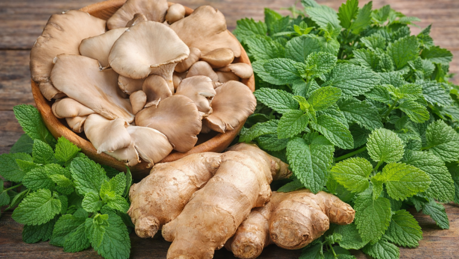 Zdraviu naproti s prírodnou medicínou. Sila byliniek z Lidla, ktorá sa oplatí