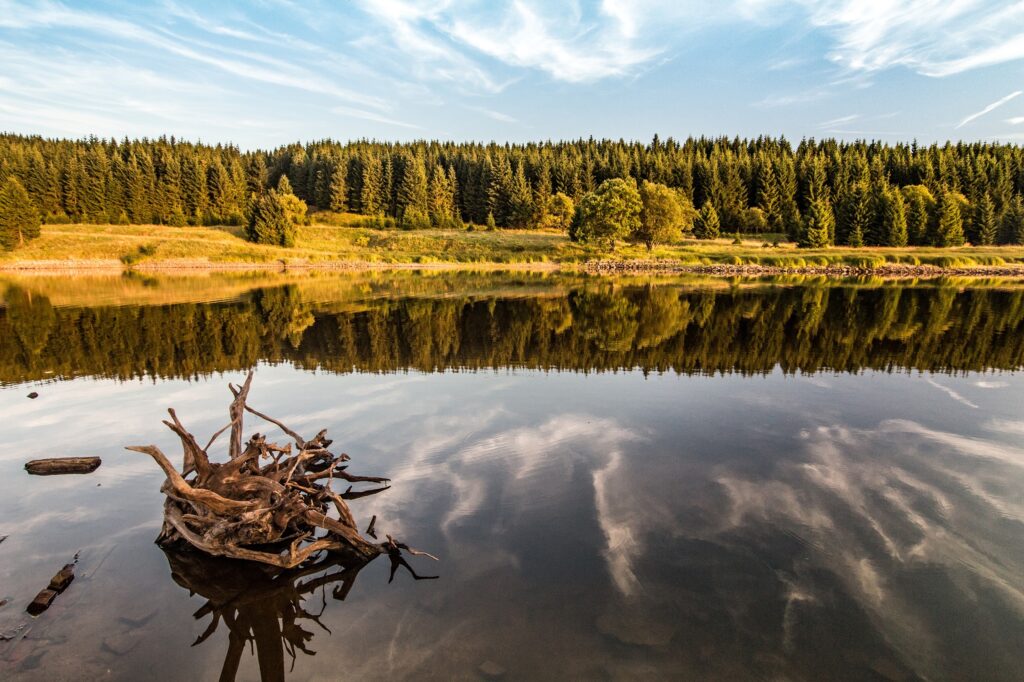Krušné hory dlho patrili medzi menej objavené kúty Česka. Kto ich však navštívil aspoň raz, vie, že majú neopakovateľnú atmosféru.